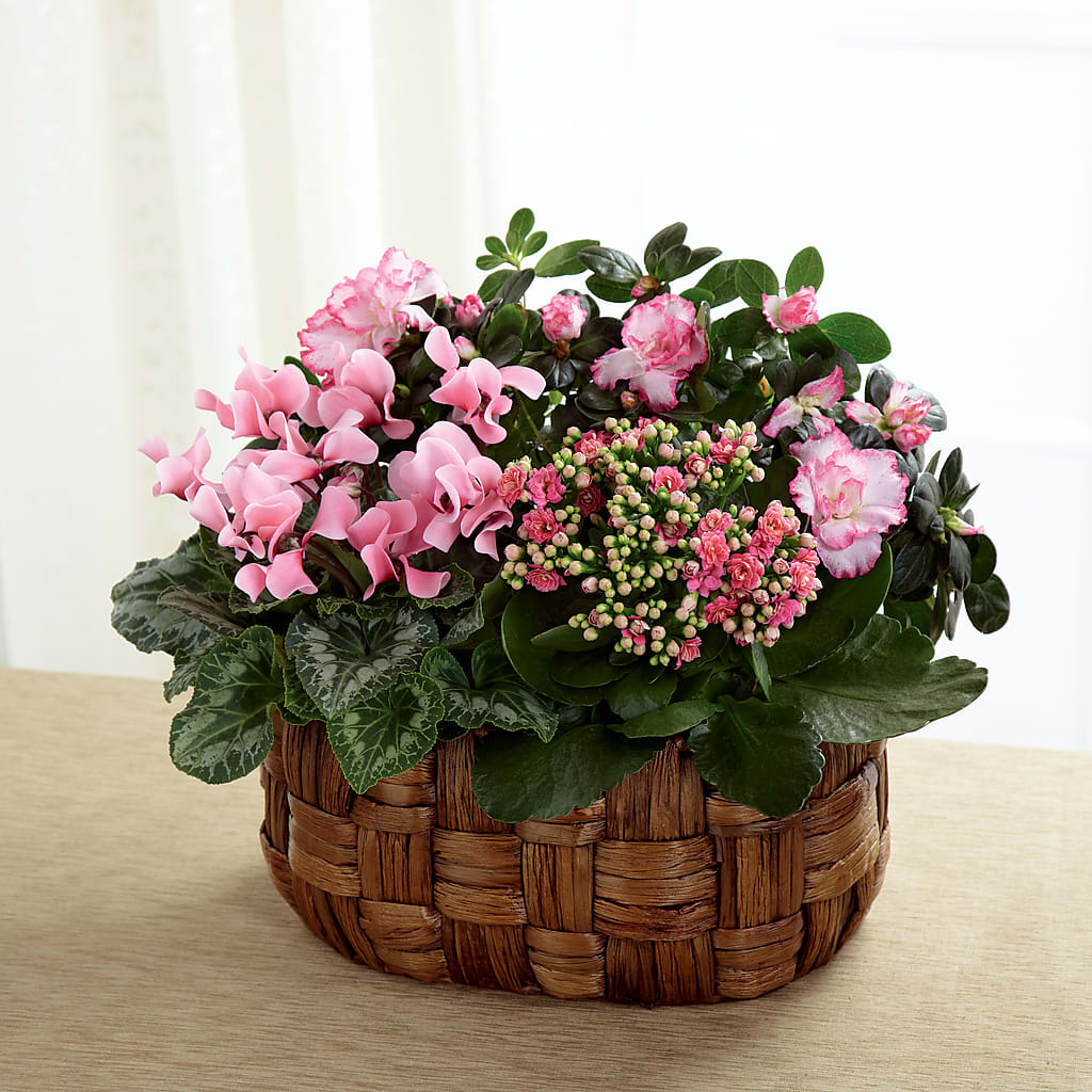 Pink Assortment – Oak Ridge Floral Company Llc, Oak Ridge TN