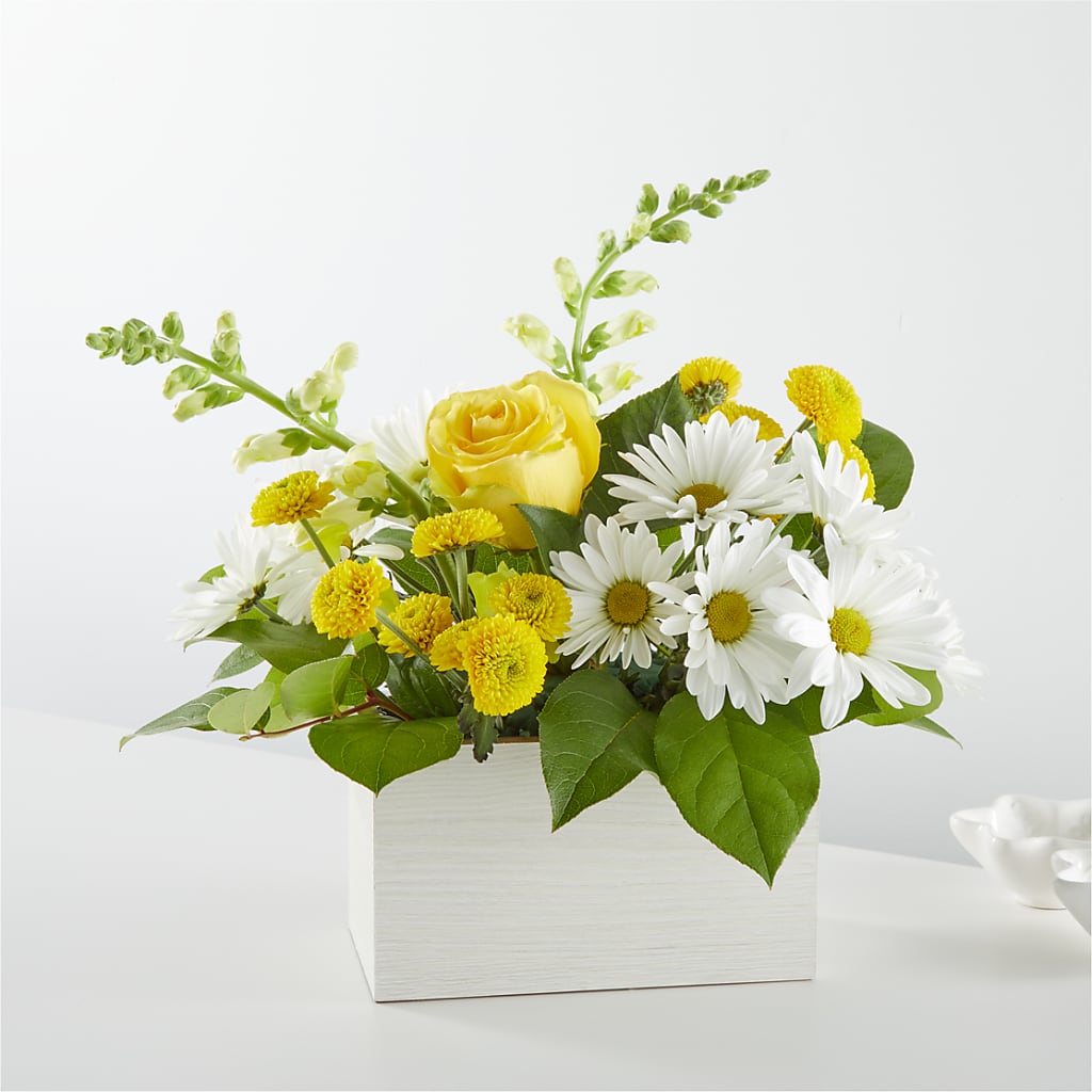 Sun Salutation Box Bouquet – Oak Ridge Floral Company Llc, Oak Ridge TN