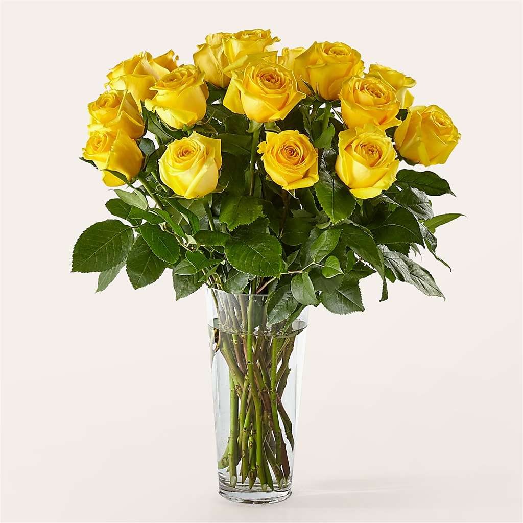 Long Stem Yellow Rose Bouquet – Oak Ridge Floral Company Llc, Oak Ridge TN