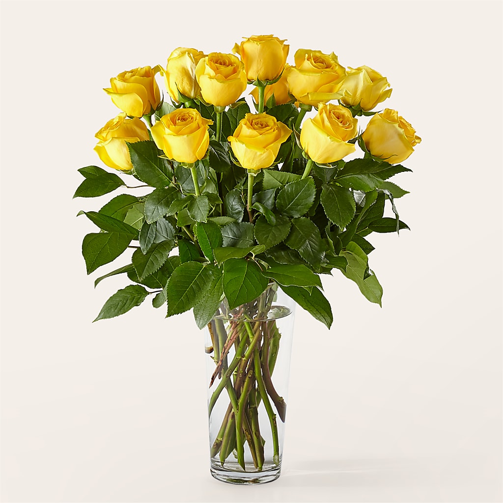 Long Stem Yellow Rose Bouquet – Oak Ridge Floral Company Llc, Oak Ridge TN