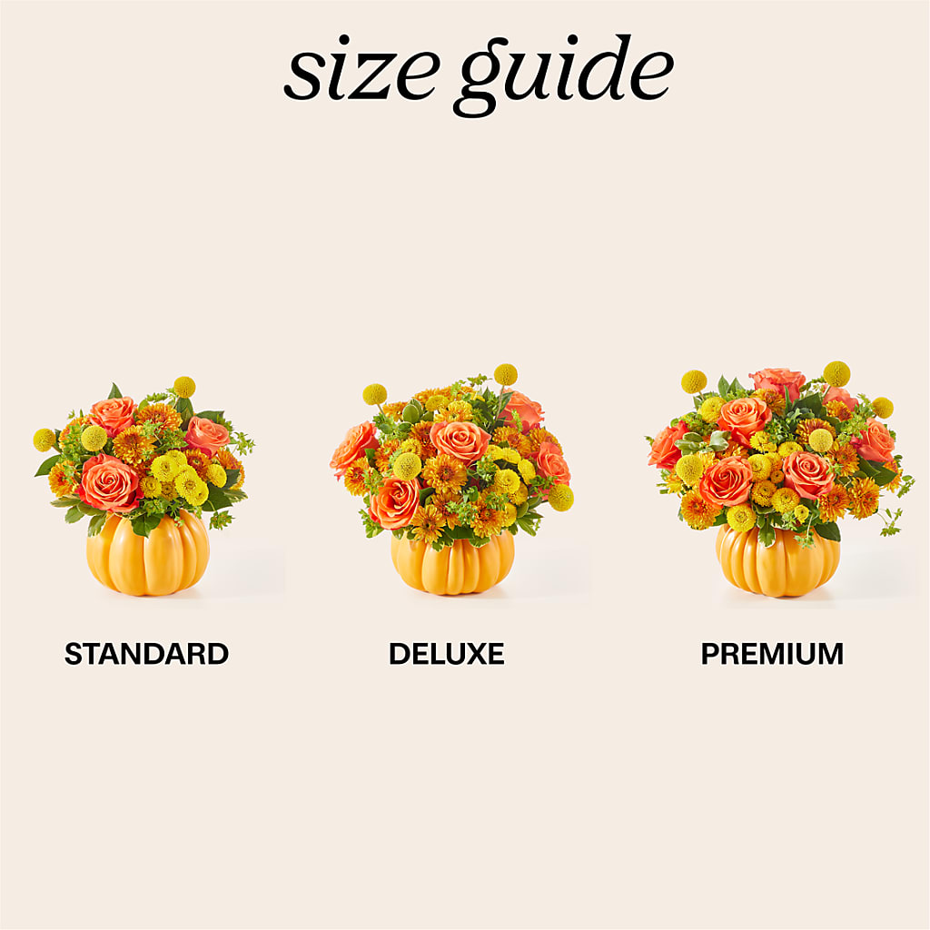 Gourdgeous Pumpkin – Oak Ridge Floral Company Llc, Oak Ridge TN