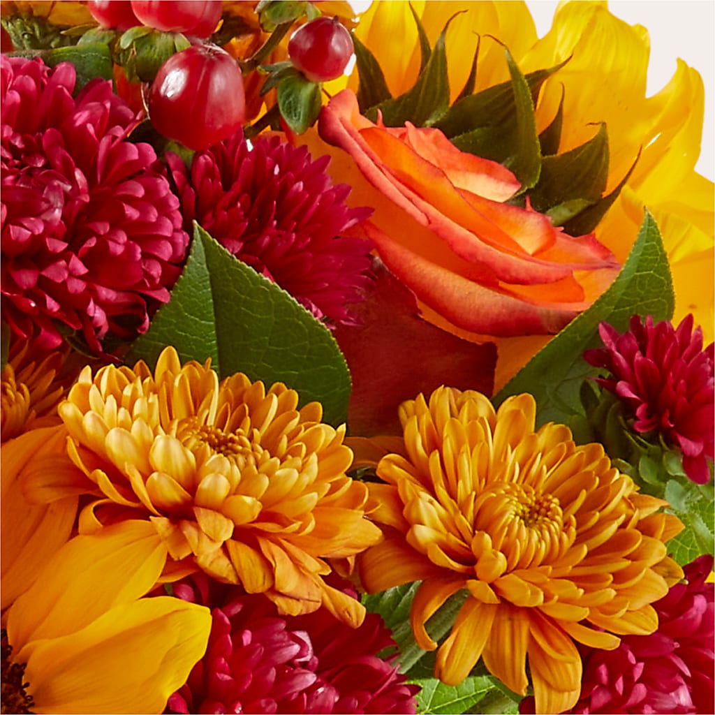 Sweater Season - A Florist Original – Oak Ridge Floral Company Llc, Oak Ridge TN