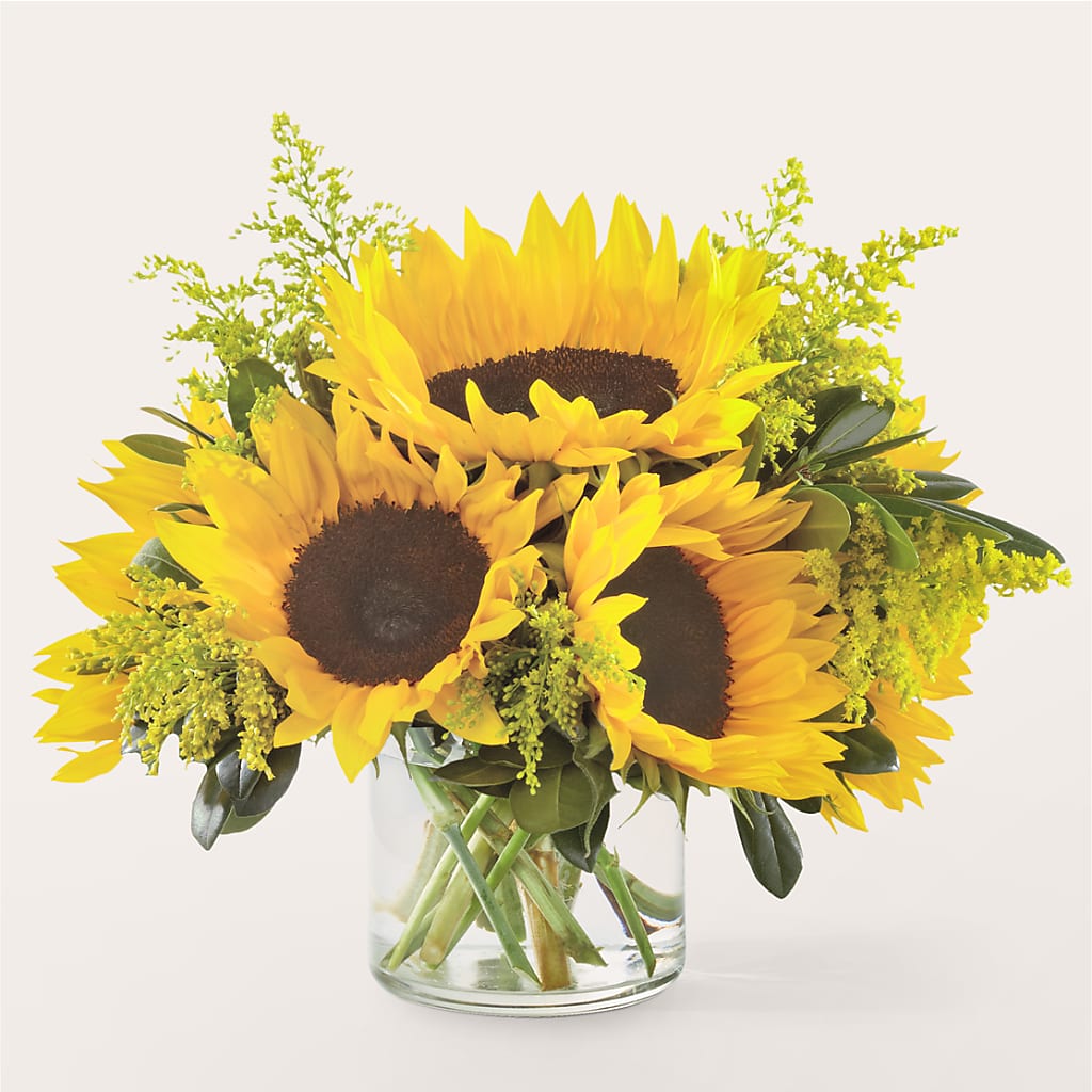 Beaming Sunflower Bouquet – Oak Ridge Floral Company Llc, Oak Ridge TN