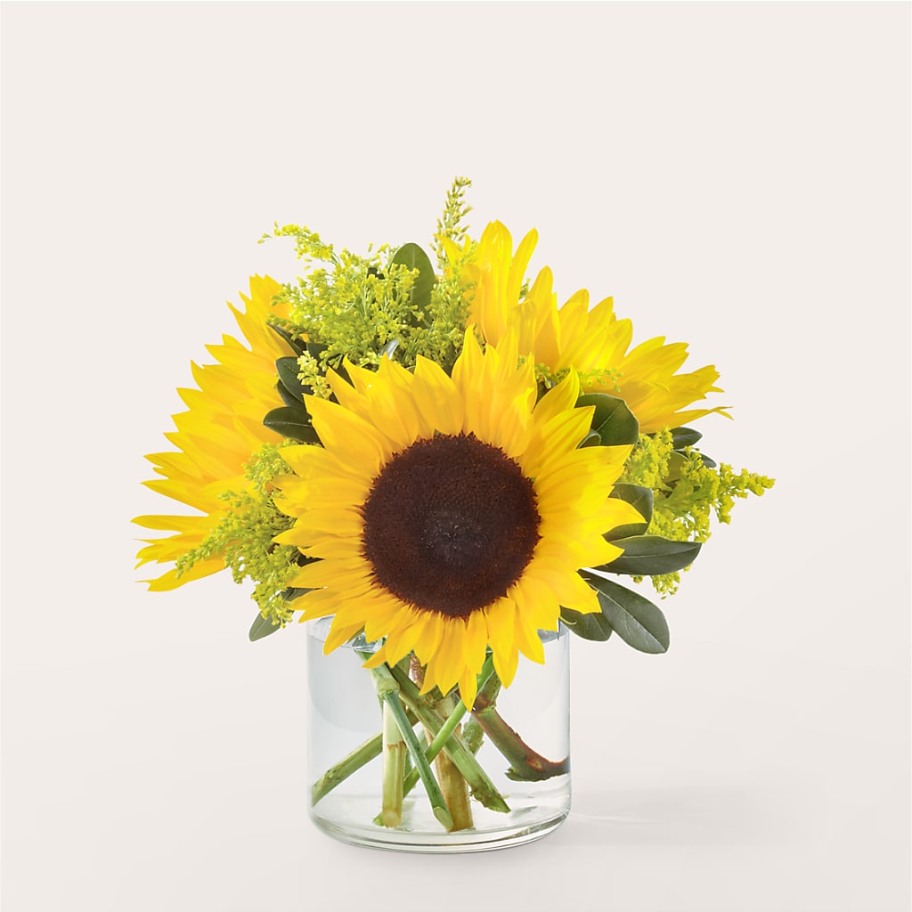 Beaming Sunflower Bouquet – Oak Ridge Floral Company Llc, Oak Ridge TN