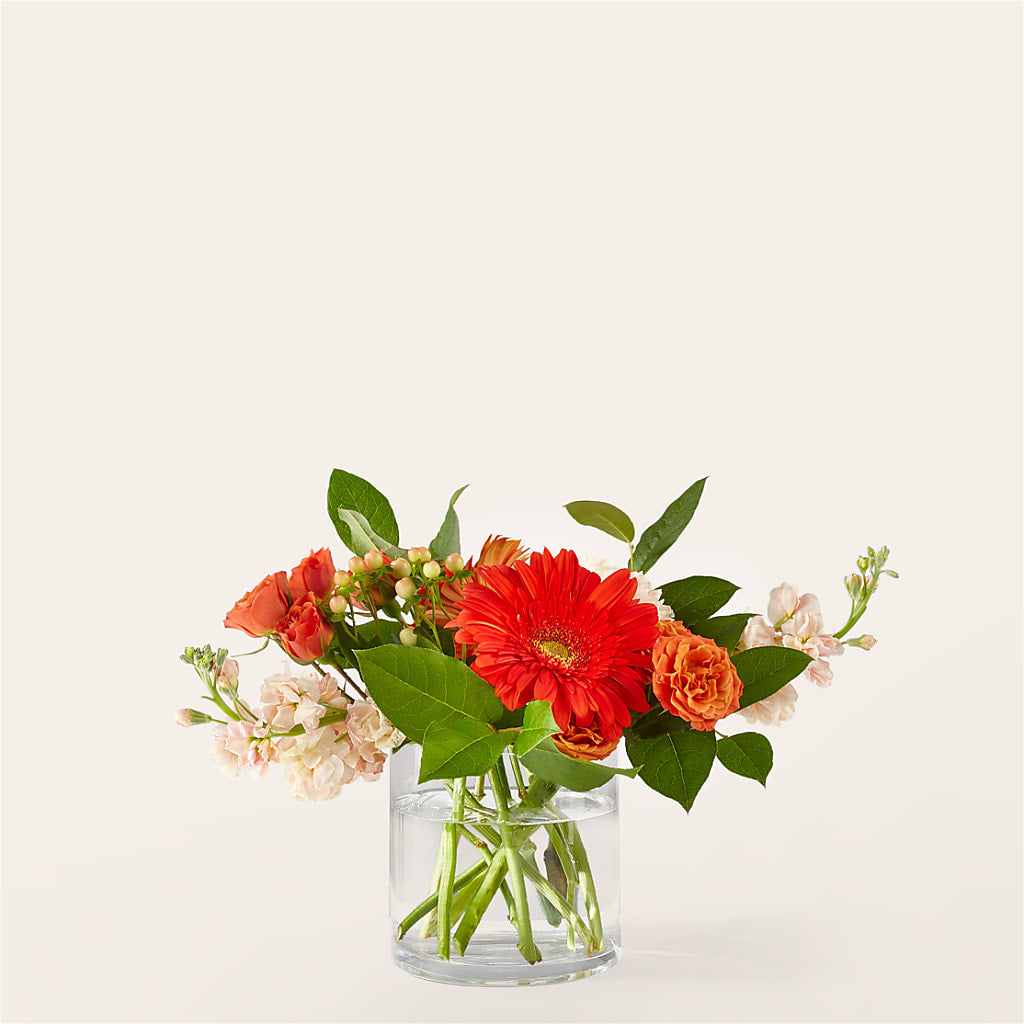 Paloma Please Bouquet – Oak Ridge Floral Company Llc, Oak Ridge TN