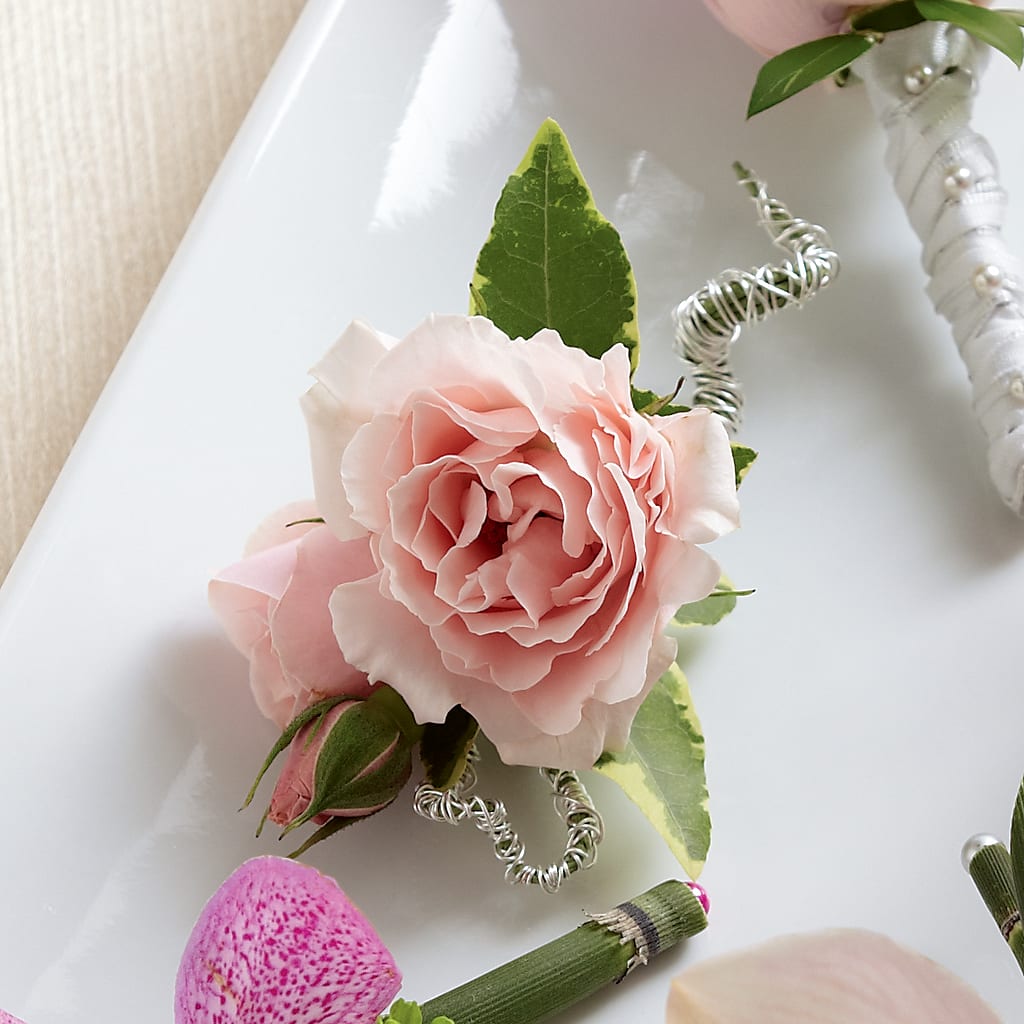 Pink Spray Rose Boutonniere – Oak Ridge Floral Company Llc, Oak Ridge TN