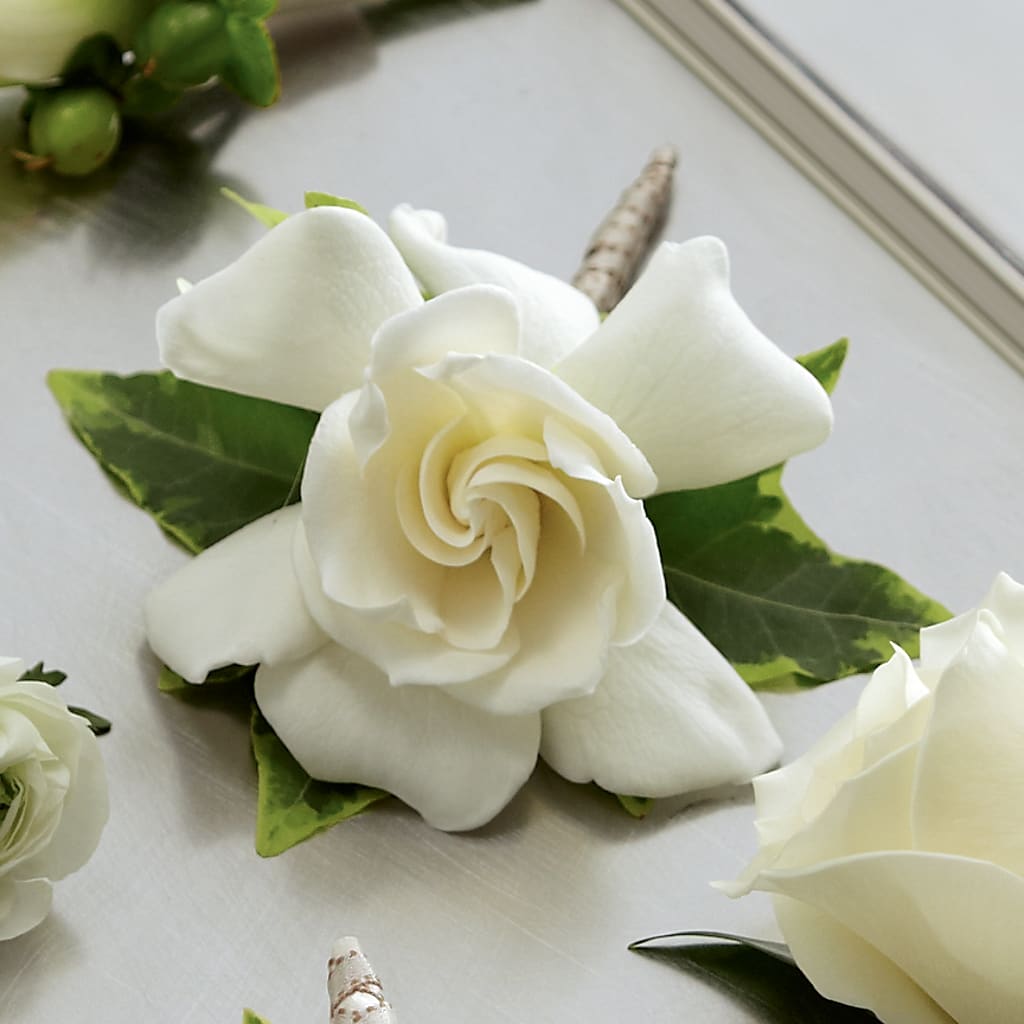 Gardenia Boutonniere – Oak Ridge Floral Company Llc, Oak Ridge TN