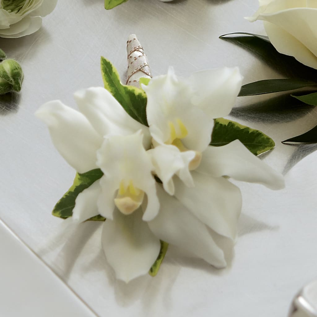 White Mini Cymbidium Boutonniere – Oak Ridge Floral Company Llc, Oak Ridge TN