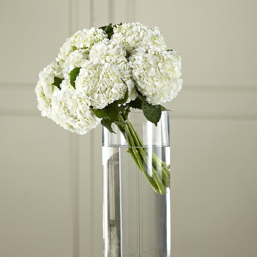 White Hydrangea Hand-Tied Bouquet – Oak Ridge Floral Company Llc, Oak Ridge TN