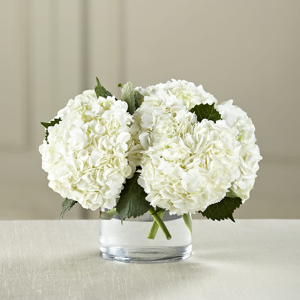 White Hydrangea Bouquet – Oak Ridge Floral Company Llc, Oak Ridge TN