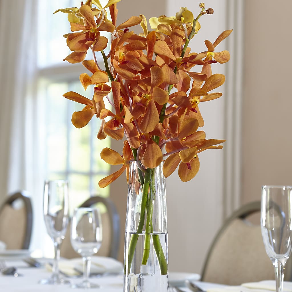 Orange Mokara Bud Vase – Oak Ridge Floral Company Llc, Oak Ridge TN