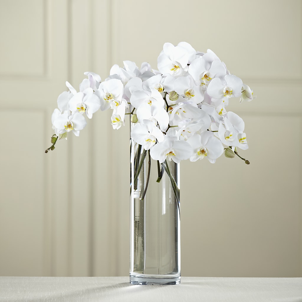 White Phalaenopsis Bouquet – Oak Ridge Floral Company Llc, Oak Ridge TN