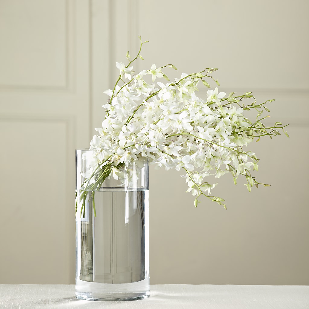 White Dendrobium Bouquet – Oak Ridge Floral Company Llc, Oak Ridge TN