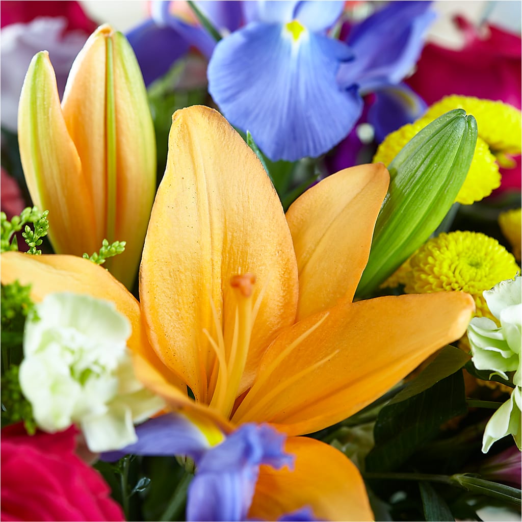 Bold & Bright – A Florist Original –  Oak Ridge Floral Company Llc, Oak Ridge TN