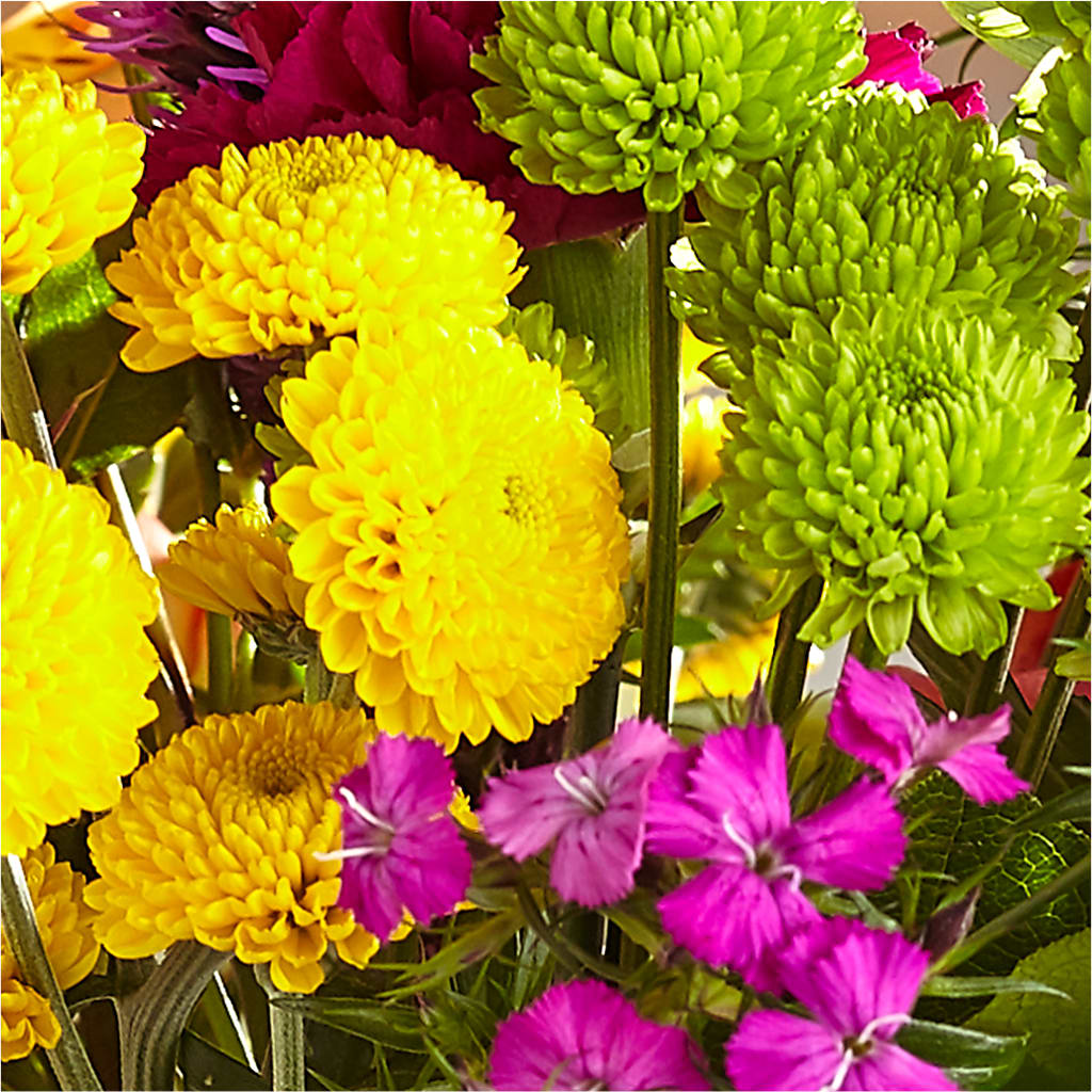 Bold & Bright – A Florist Original –  Oak Ridge Floral Company Llc, Oak Ridge TN