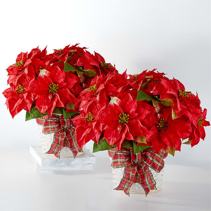 Happiest Holidays Poinsettia Bundle –  Oak Ridge Floral Company Llc, Oak Ridge TN