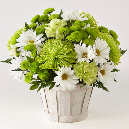 Lucky Charm Basket (Standard) –  Oak Ridge Floral Company Llc, Oak Ridge TN