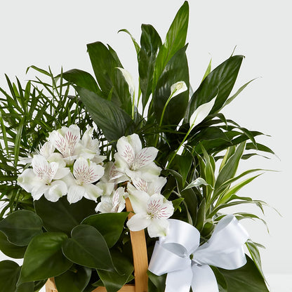 Peace & Serenity Dishgarden –  Oak Ridge Floral Company Llc, Oak Ridge TN