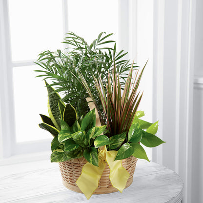French Garden –  Oak Ridge Floral Company Llc, Oak Ridge TN