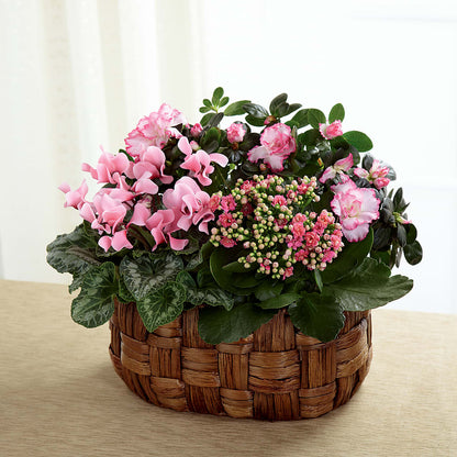 Pink Assortment –  Oak Ridge Floral Company Llc, Oak Ridge TN