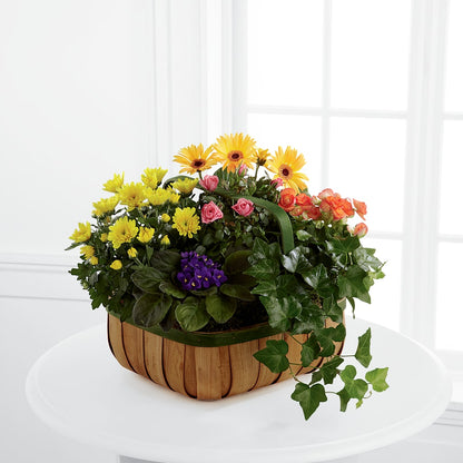 Gentle Blossoms Basket –  Oak Ridge Floral Company Llc, Oak Ridge TN