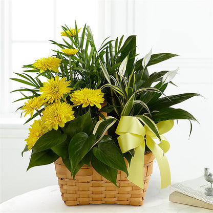 Loving Light Dishgarden –  Oak Ridge Floral Company Llc, Oak Ridge TN
