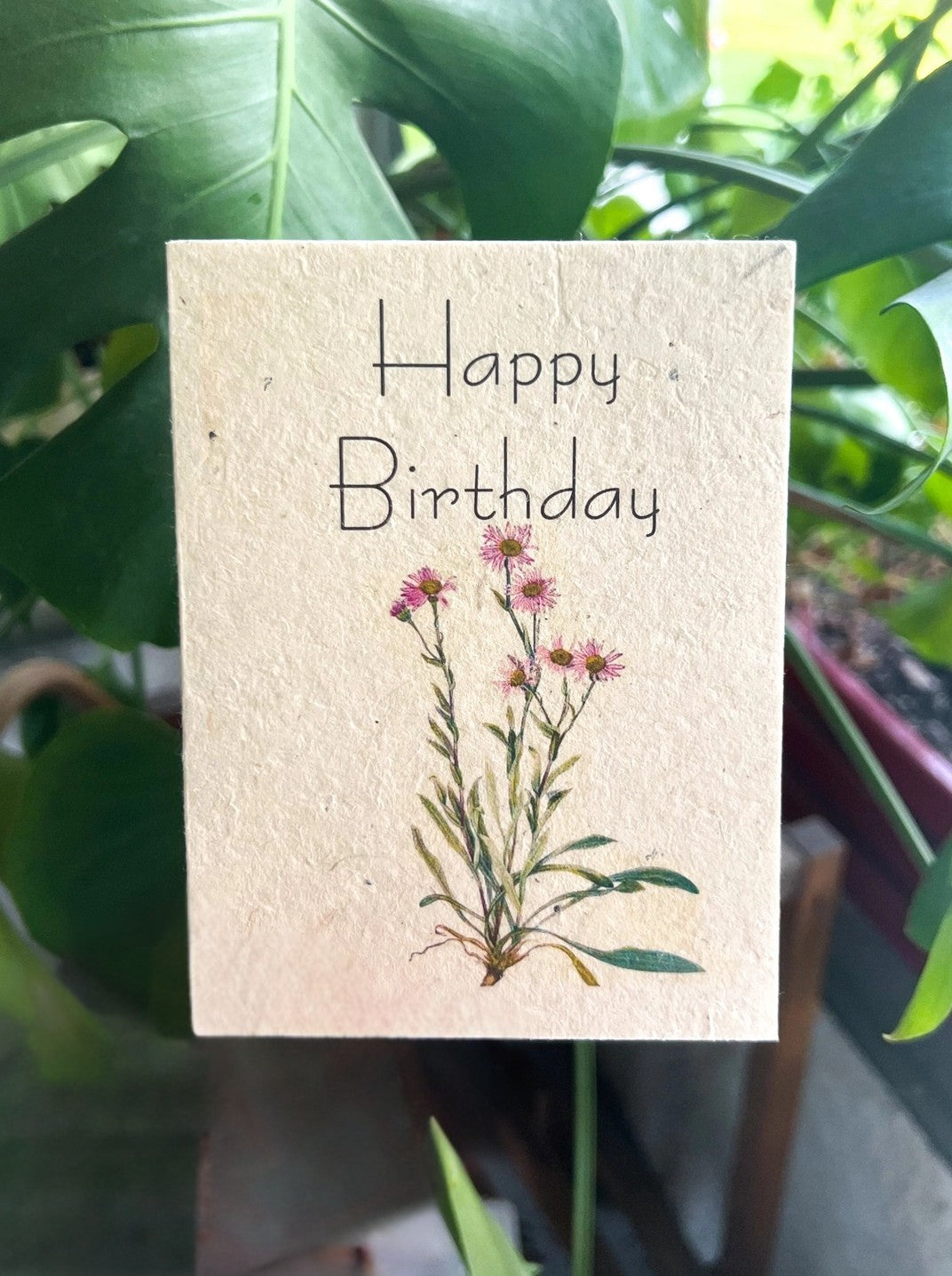 Plantable Gift Card: Botanical Seed Paper –  Oak Ridge Floral Company Llc, Oak Ridge TN