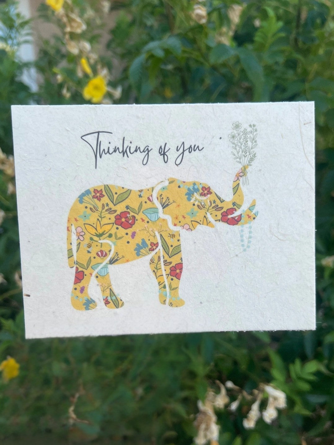 Plantable Gift Card: Botanical Seed Paper –  Oak Ridge Floral Company Llc, Oak Ridge TN