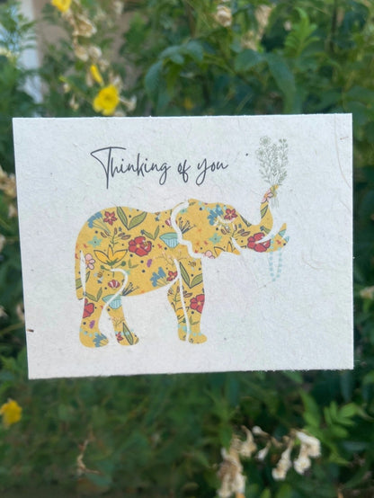 Plantable Gift Card: Botanical Seed Paper –  Oak Ridge Floral Company Llc, Oak Ridge TN