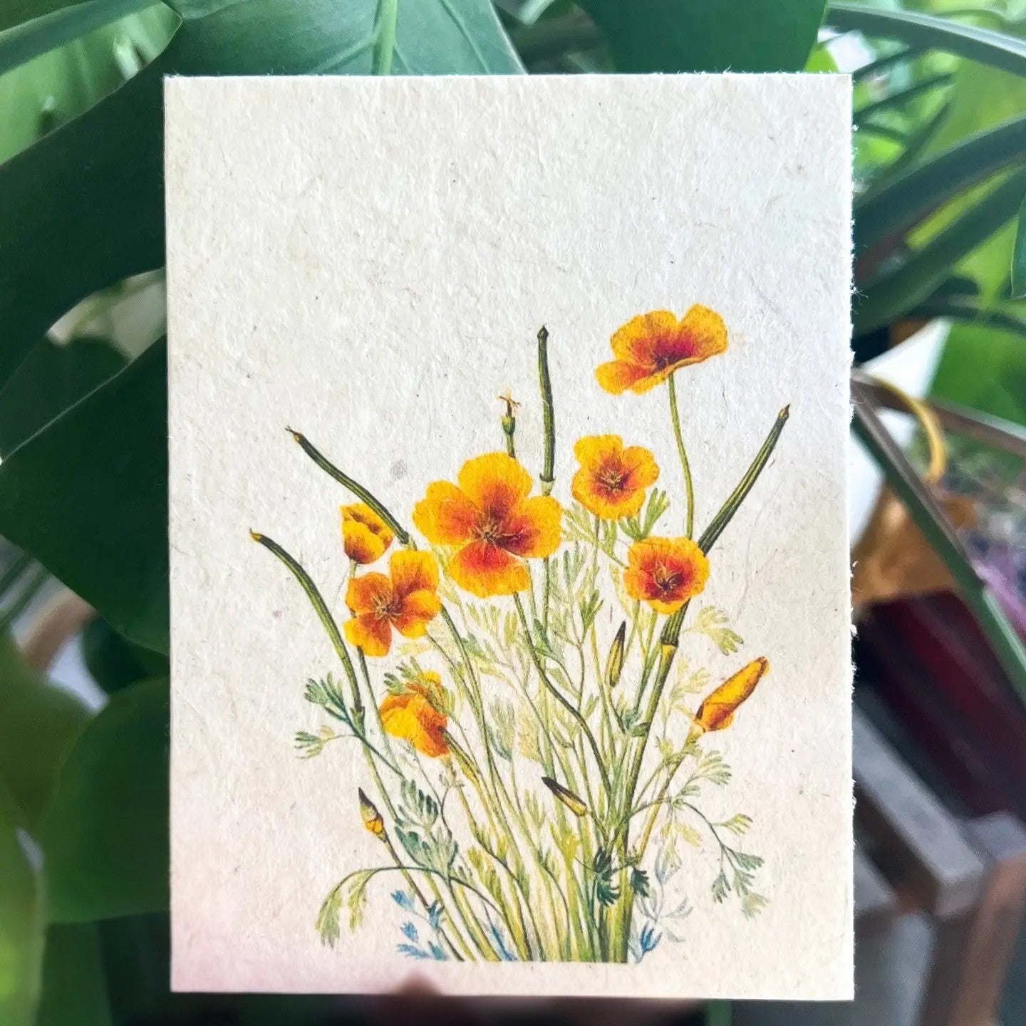 Plantable Gift Card: Botanical Seed Paper –  Oak Ridge Floral Company Llc, Oak Ridge TN