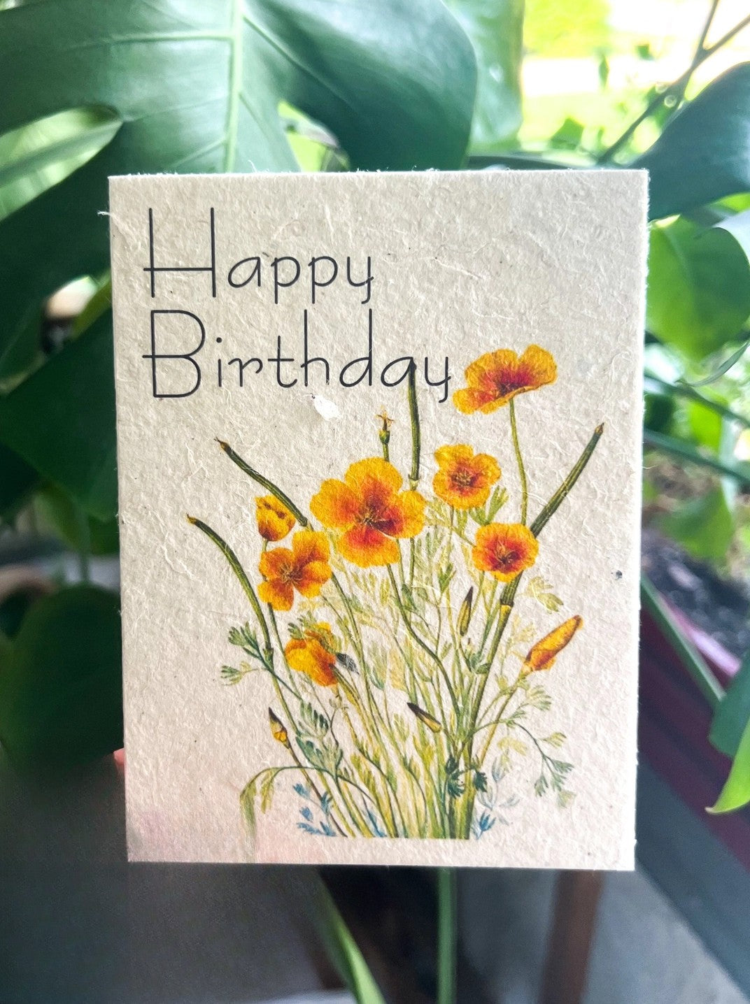 Plantable Gift Card: Botanical Seed Paper –  Oak Ridge Floral Company Llc, Oak Ridge TN