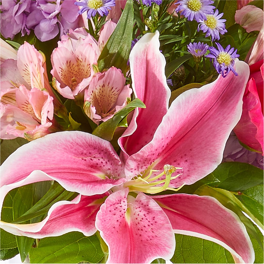Written in the Stars Bouquet –  Oak Ridge Floral Company Llc, Oak Ridge TN