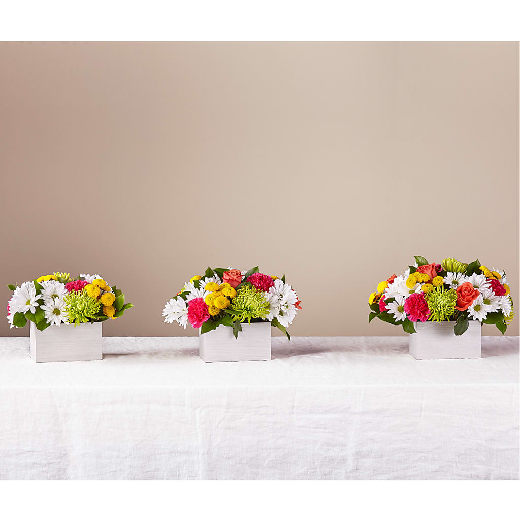 Sorbet Bouquet –  Oak Ridge Floral Company Llc, Oak Ridge TN