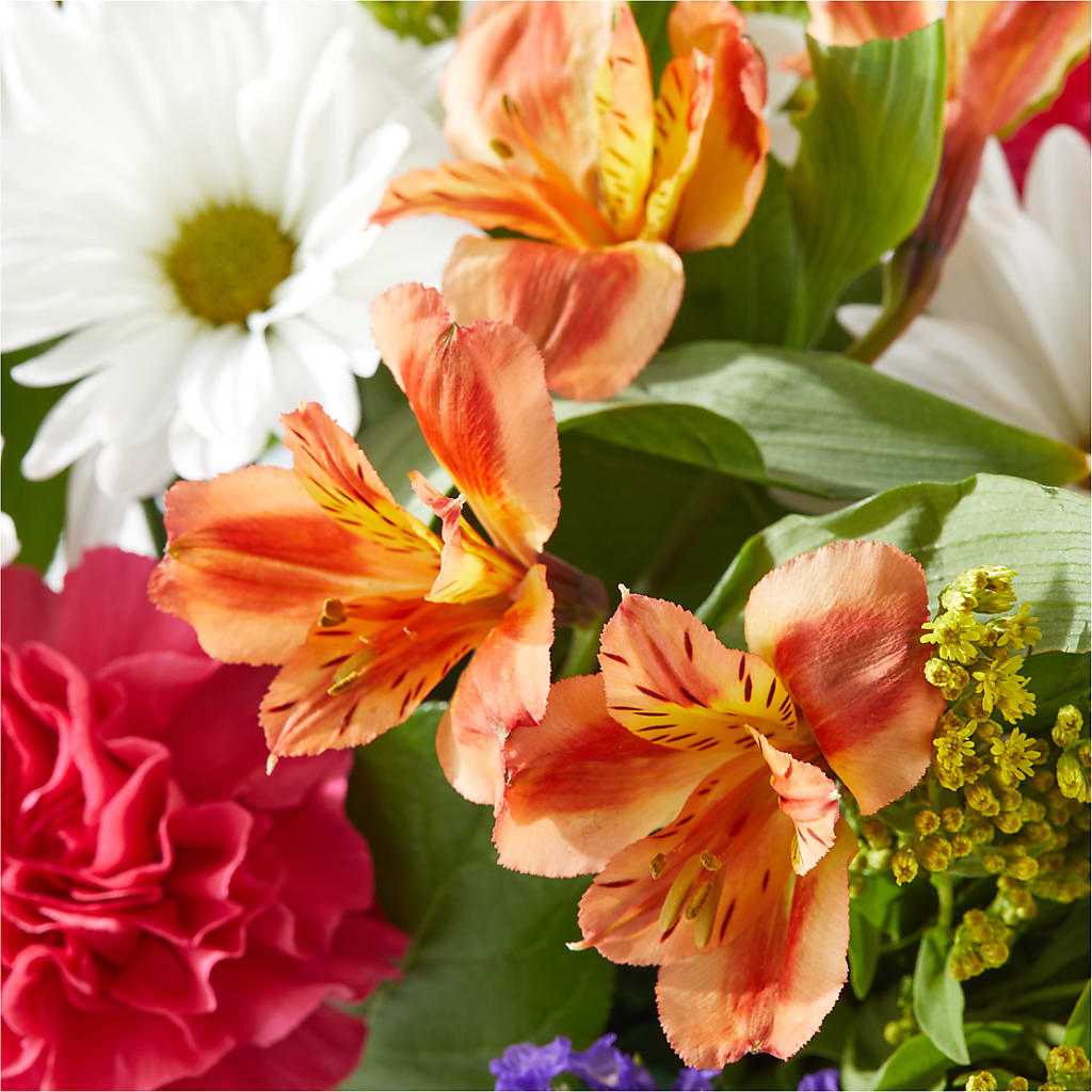 Oopsie Daisy Box Bouquet –  Oak Ridge Floral Company Llc, Oak Ridge TN