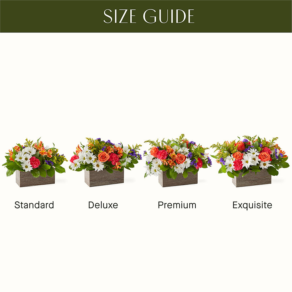 Oopsie Daisy Box Bouquet –  Oak Ridge Floral Company Llc, Oak Ridge TN