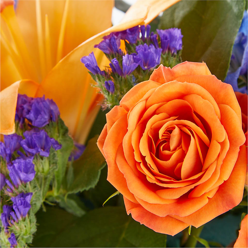 Radiant Citrus Box Bouquet –  Oak Ridge Floral Company Llc, Oak Ridge TN