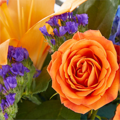 Radiant Citrus Box Bouquet –  Oak Ridge Floral Company Llc, Oak Ridge TN