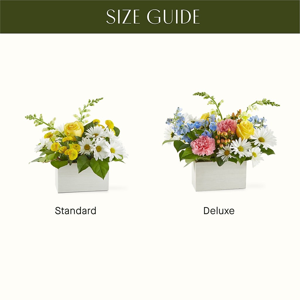 Sun Salutation Box Bouquet –  Oak Ridge Floral Company Llc, Oak Ridge TN