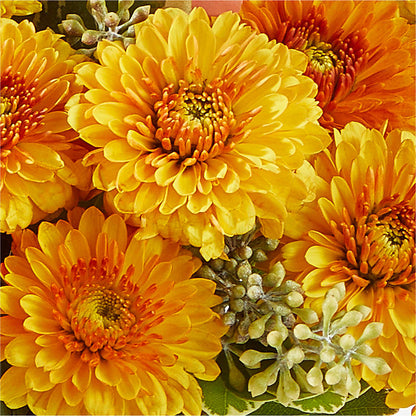 Peachy Pumpkin –  Oak Ridge Floral Company Llc, Oak Ridge TN