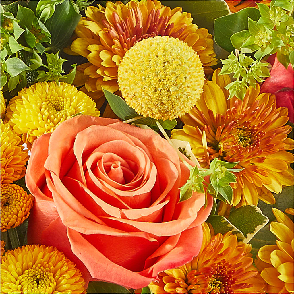 Gourdgeous Pumpkin –  Oak Ridge Floral Company Llc, Oak Ridge TN