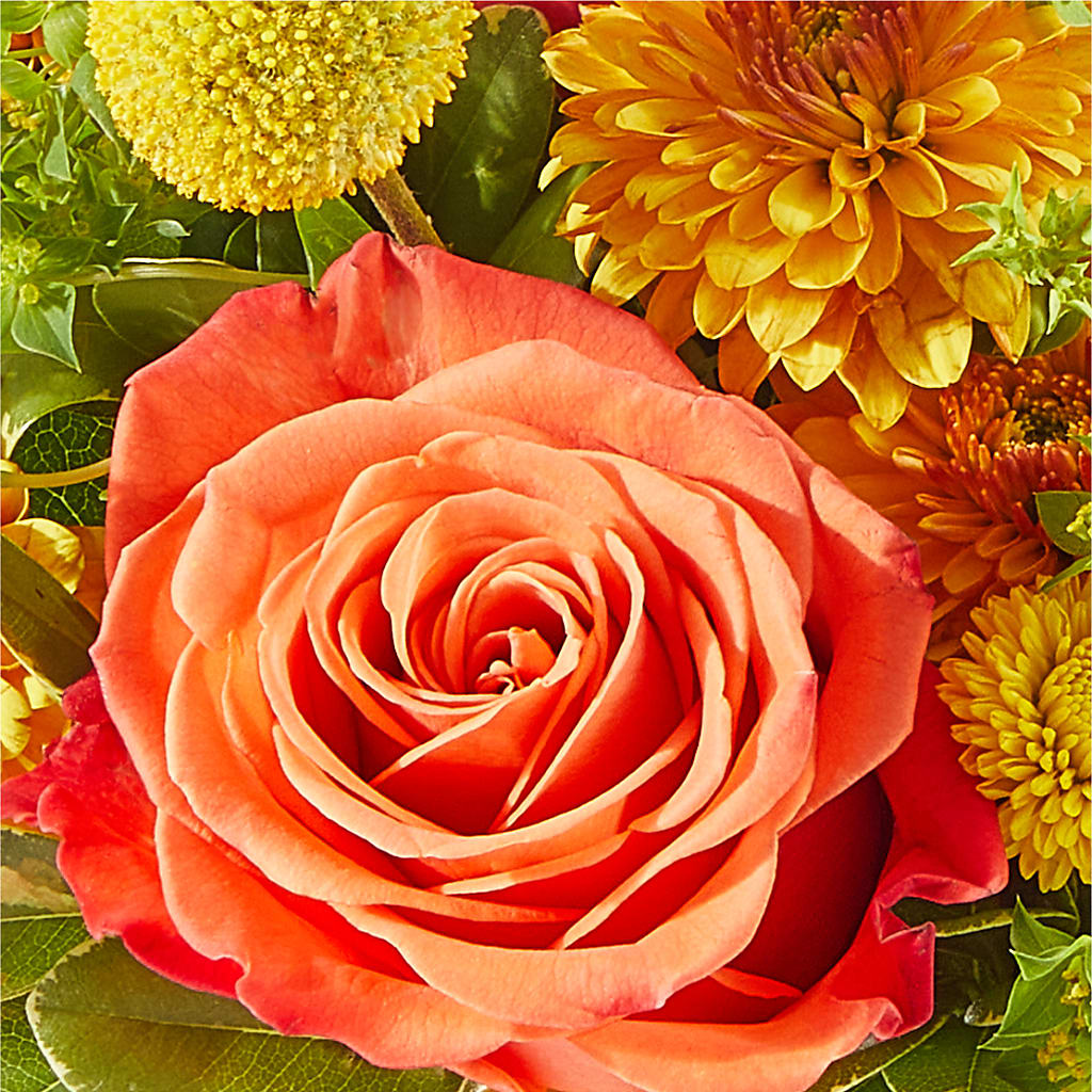 Gourdgeous Pumpkin –  Oak Ridge Floral Company Llc, Oak Ridge TN