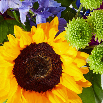 Catching Rays Bouquet –  Oak Ridge Floral Company Llc, Oak Ridge TN