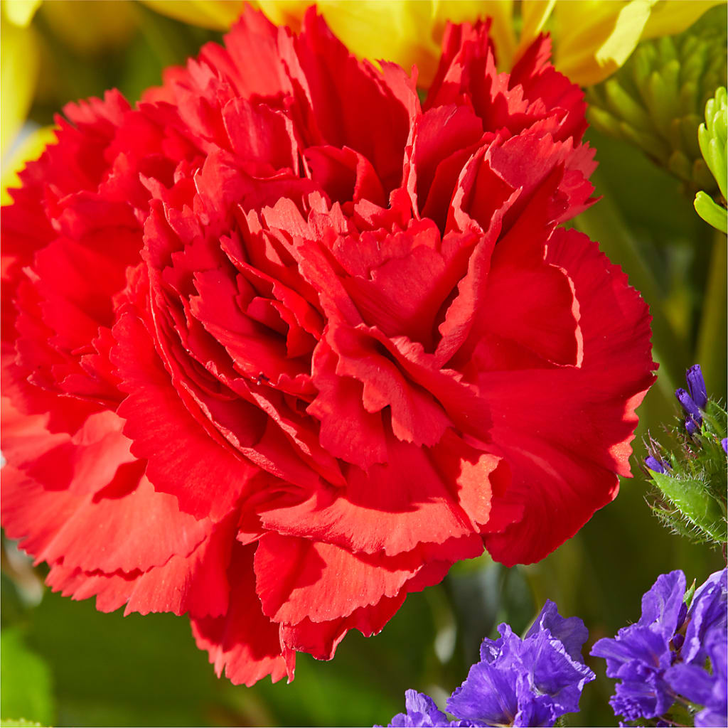 Brighter Days Bouquet –  Oak Ridge Floral Company Llc, Oak Ridge TN