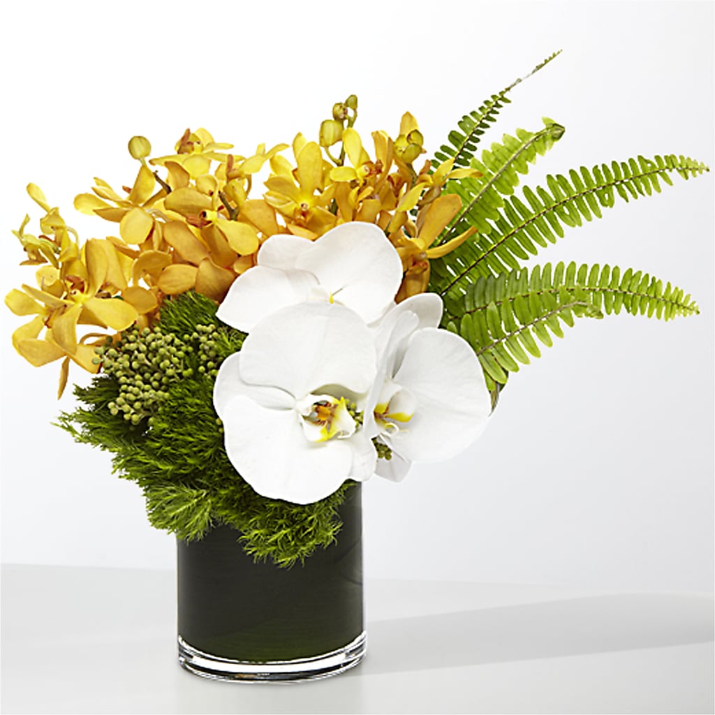 The Tropics –  Oak Ridge Floral Company Llc, Oak Ridge TN