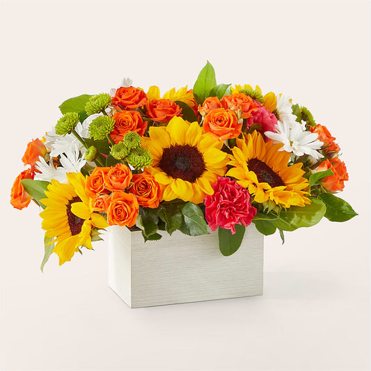 Sun-drenched Blooms Box Bouquet –  Oak Ridge Floral Company Llc, Oak Ridge TN
