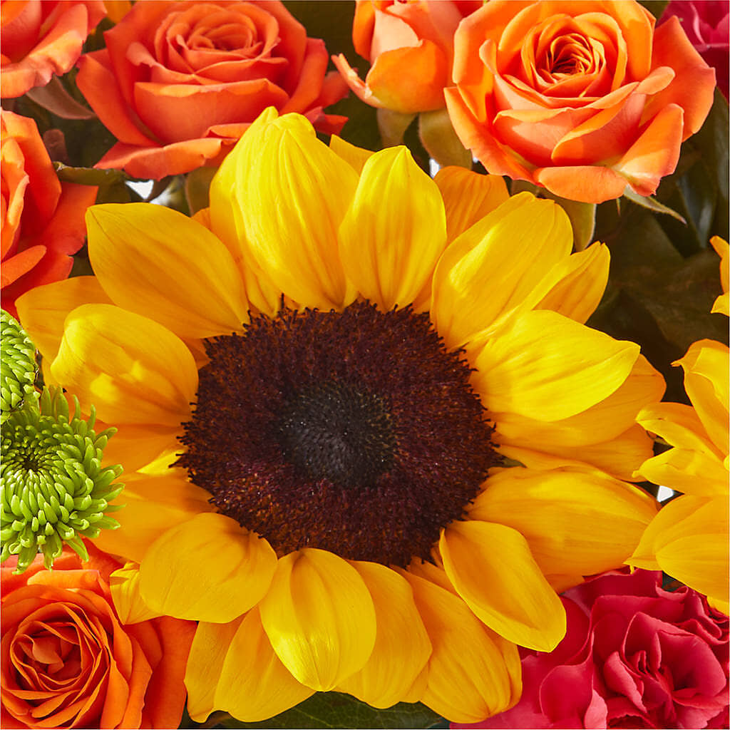 Sun-drenched Blooms Box Bouquet –  Oak Ridge Floral Company Llc, Oak Ridge TN