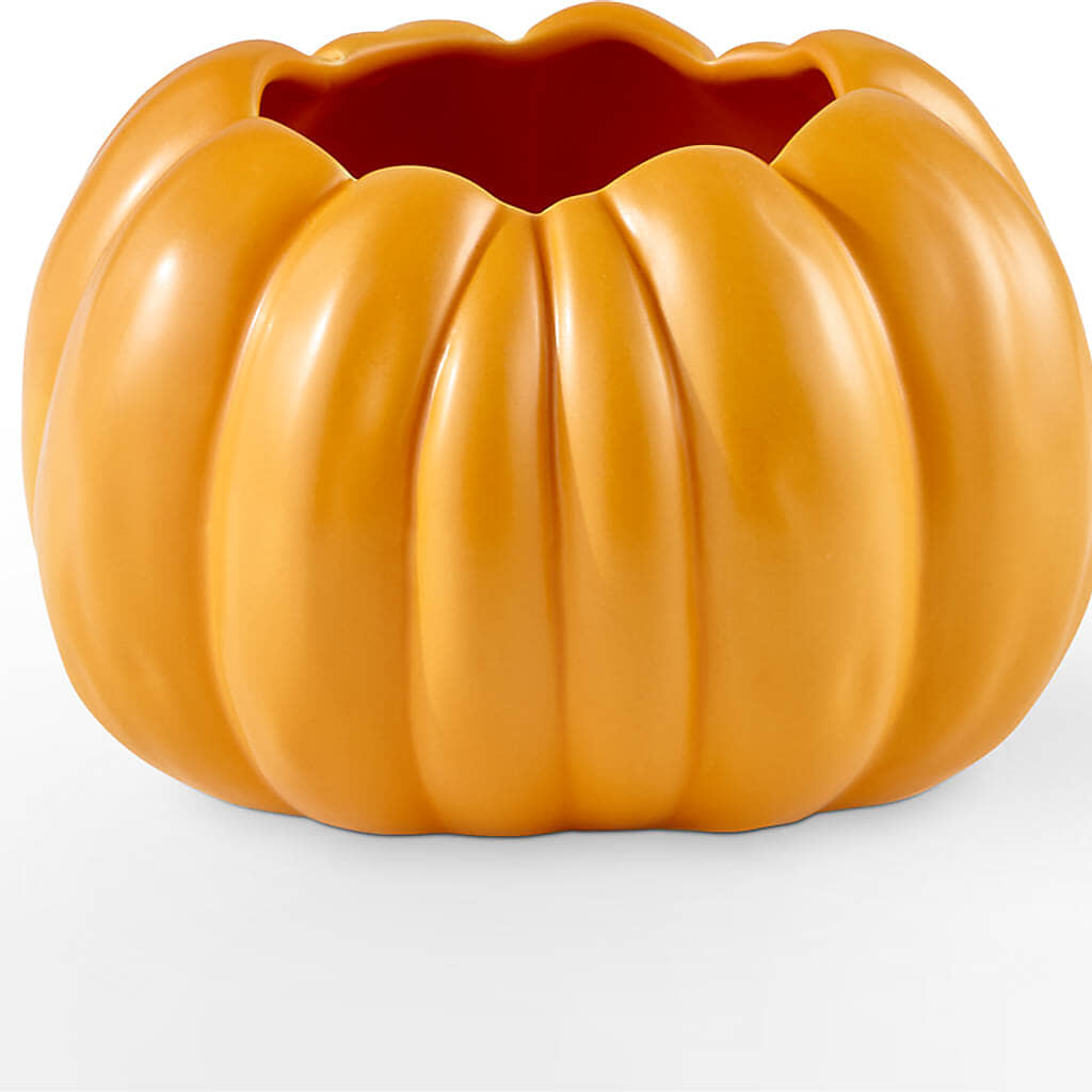 Golden Gourd Pumpkin Bouquet –  Oak Ridge Floral Company Llc, Oak Ridge TN