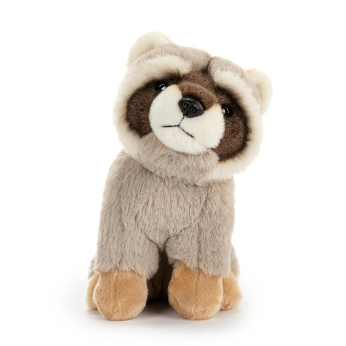 Beanbag Raccoon –  Oak Ridge Floral Company Llc, Oak Ridge TN