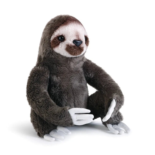 Beanbag Sloth –  Oak Ridge Floral Company Llc, Oak Ridge TN