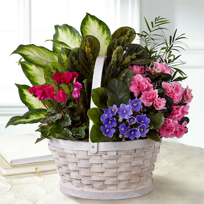 Peaceful Garden Planter –  Oak Ridge Floral Company Llc, Oak Ridge TN